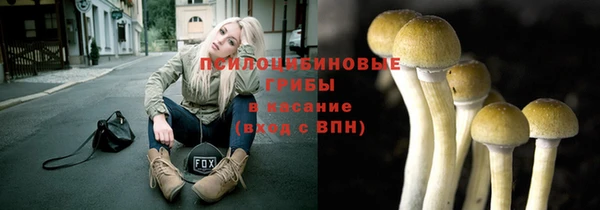 твердый Горно-Алтайск