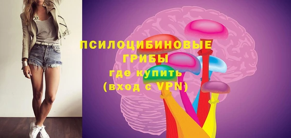 ECSTASY Горняк