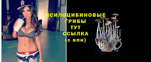 стафф Горнозаводск