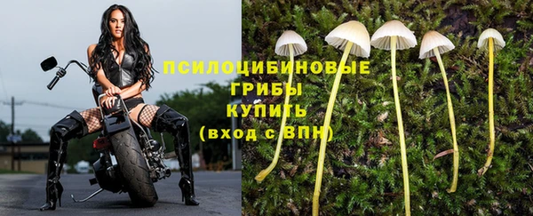 ECSTASY Горняк
