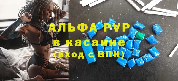ECSTASY Горняк