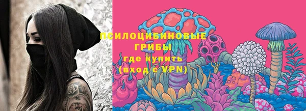 стафф Горнозаводск