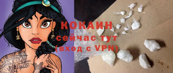 ECSTASY Горняк