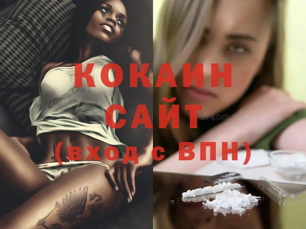 ECSTASY Горняк