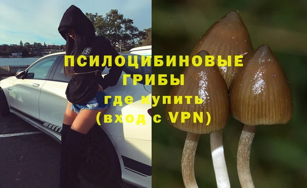 твердый Горно-Алтайск