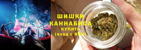 стафф Горнозаводск
