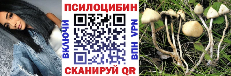 Псилоцибиновые грибы мицелий  цены наркотик  KRAKEN зеркало  Смоленск 